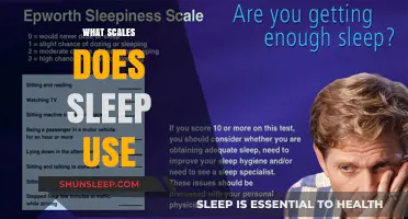 Sleep Scales: Understanding the Notes of Sleep