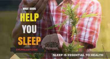 Natural Sleep Aids: Seeds That Promote Restful Nights and Relaxation