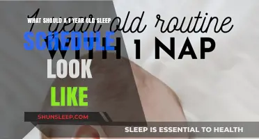 Sleep Training: A One-Year-Old's Schedule