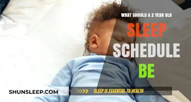 Sleep Training: A 2-Year-Old's Schedule