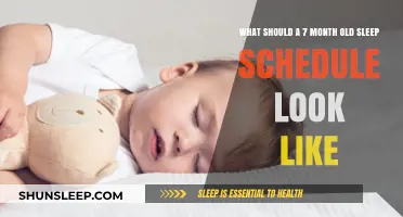 Sleep Training: A 7-Month-Old's Schedule