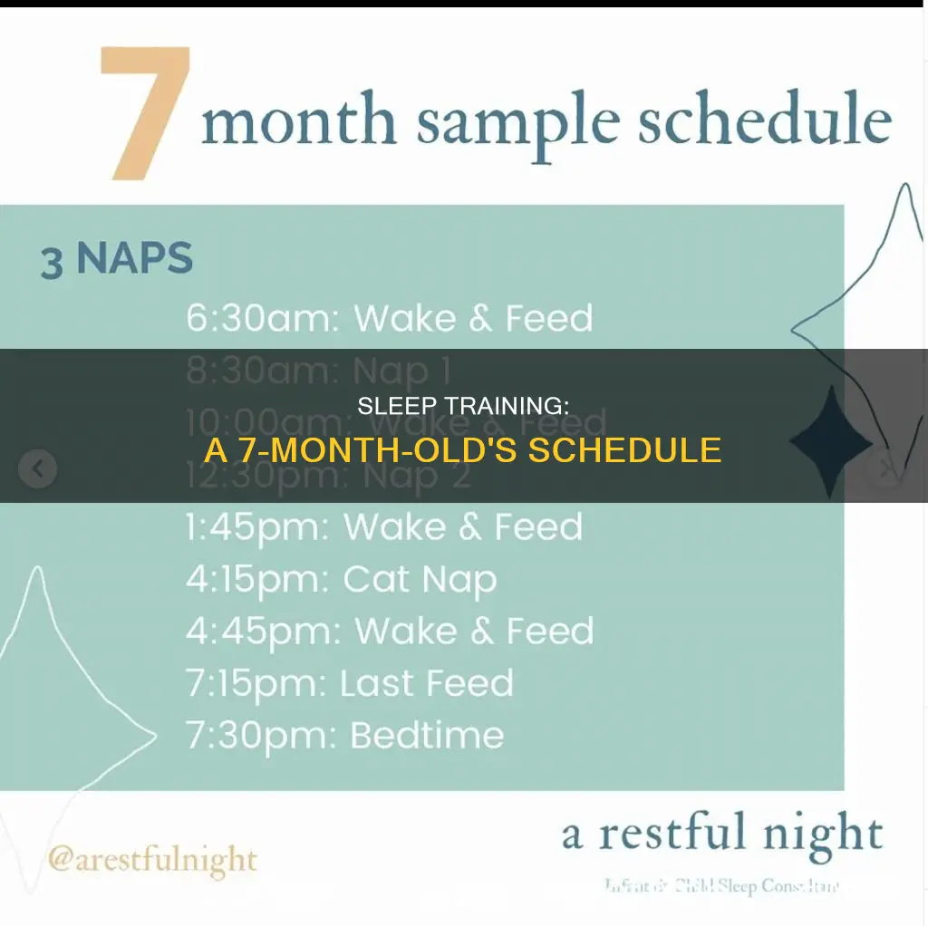 what should a 7 month old sleep schedule look like