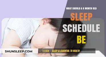 Sleep Training: A 9-Month-Old's Schedule