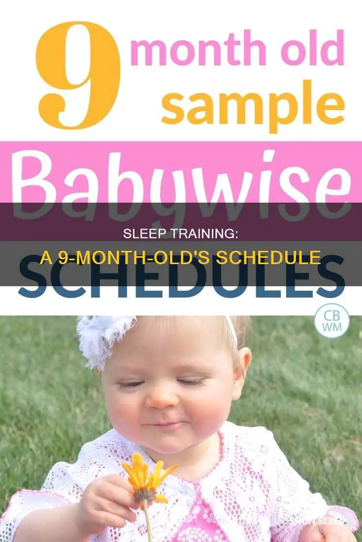 what should a 9 month old sleep schedule be