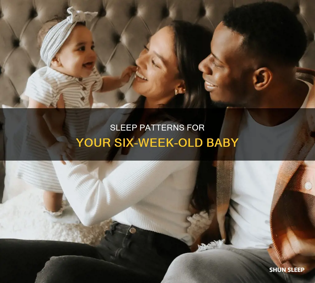 what should be the sleep pattern for 6 week old