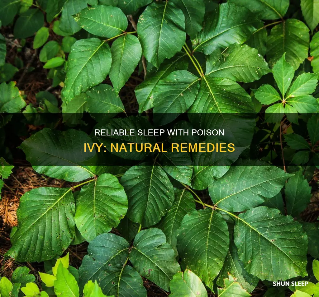what should i take to sleep with severe poison ivy