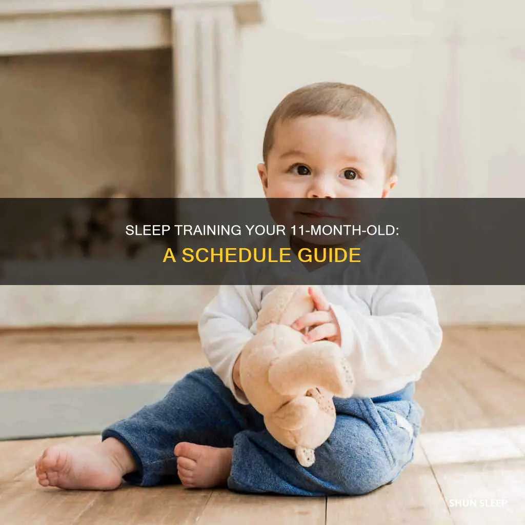 what should my 11 month old sleep schedule be