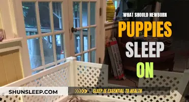 Puppy Parenting: Preparing the Perfect Bed for Your Newborns