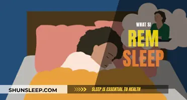 Understanding REM Sleep: The Science Behind Dreaming