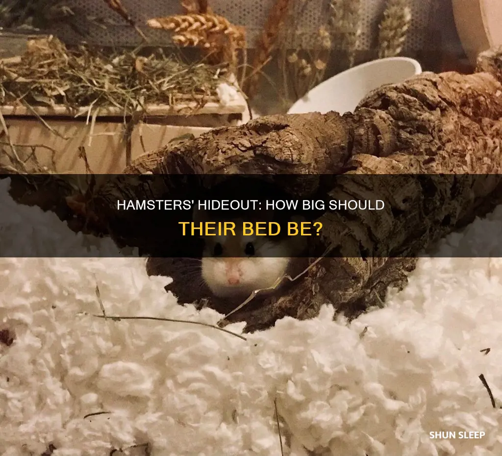 what size hideout do hamsters need to sleep