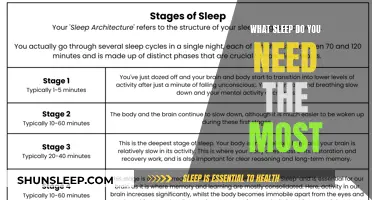 The Science of Sleep: Understanding Your Body's Needs