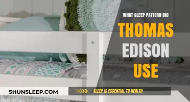 Edison's Sleep: A Unique Pattern for Success