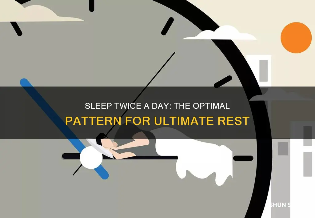 what sleep pattern when sleeping twoce a day