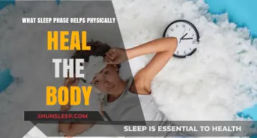 Deep Sleep: The Crucial Phase for Physical Healing and Recovery