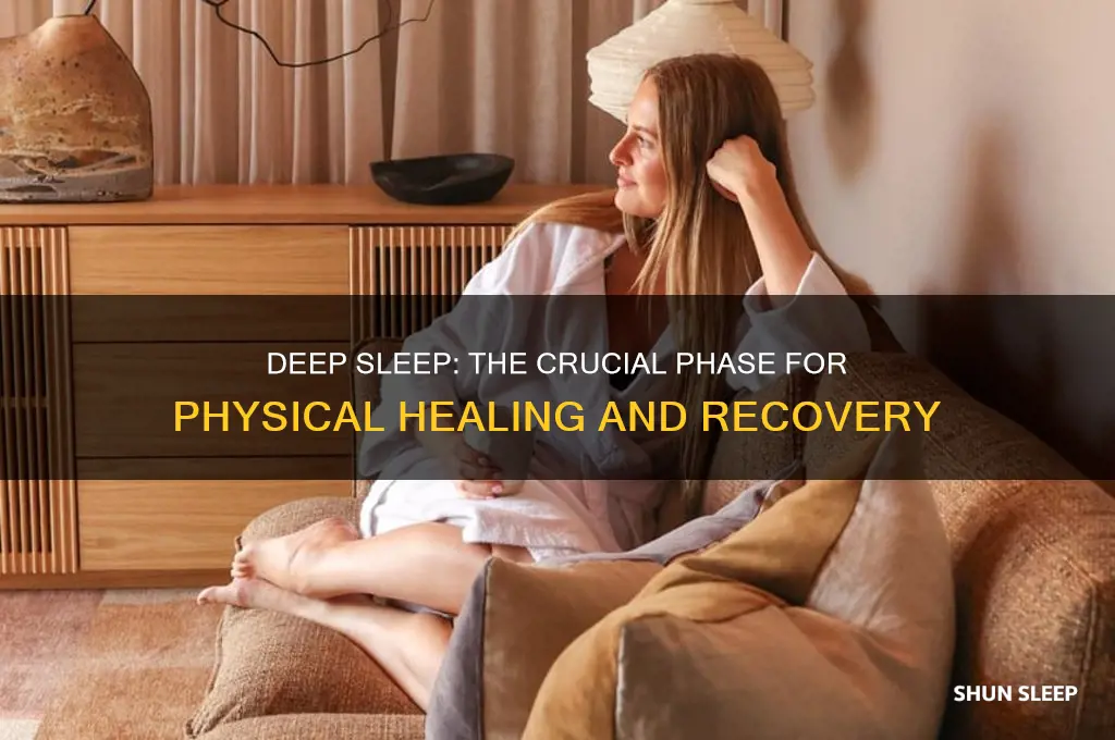 what sleep phase helps physically heal the body