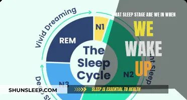 Understanding Post-Sleep Stages: What Our Waking Moments Reveal