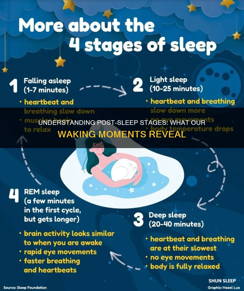 what sleep stage are we in when we wake up