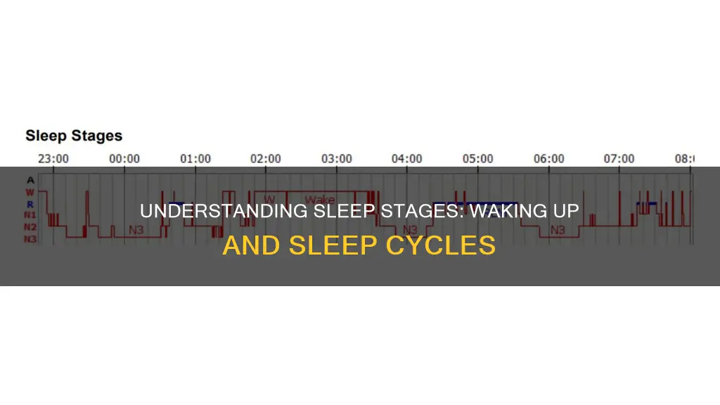 what sleep stage are we in when we wake up