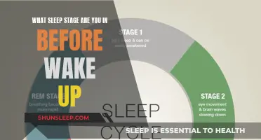 Understanding Your Sleep Stages: From REM to Deep Sleep