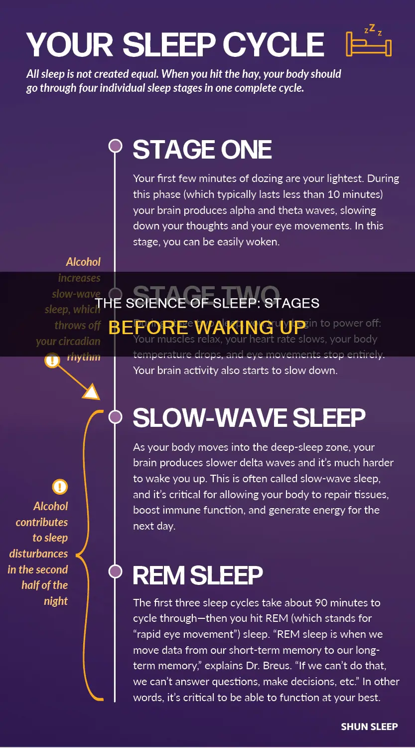 what sleep stage are you in before wake up