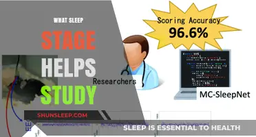 Boost Your Learning: The Sleep Stage That Enhances Study Retention