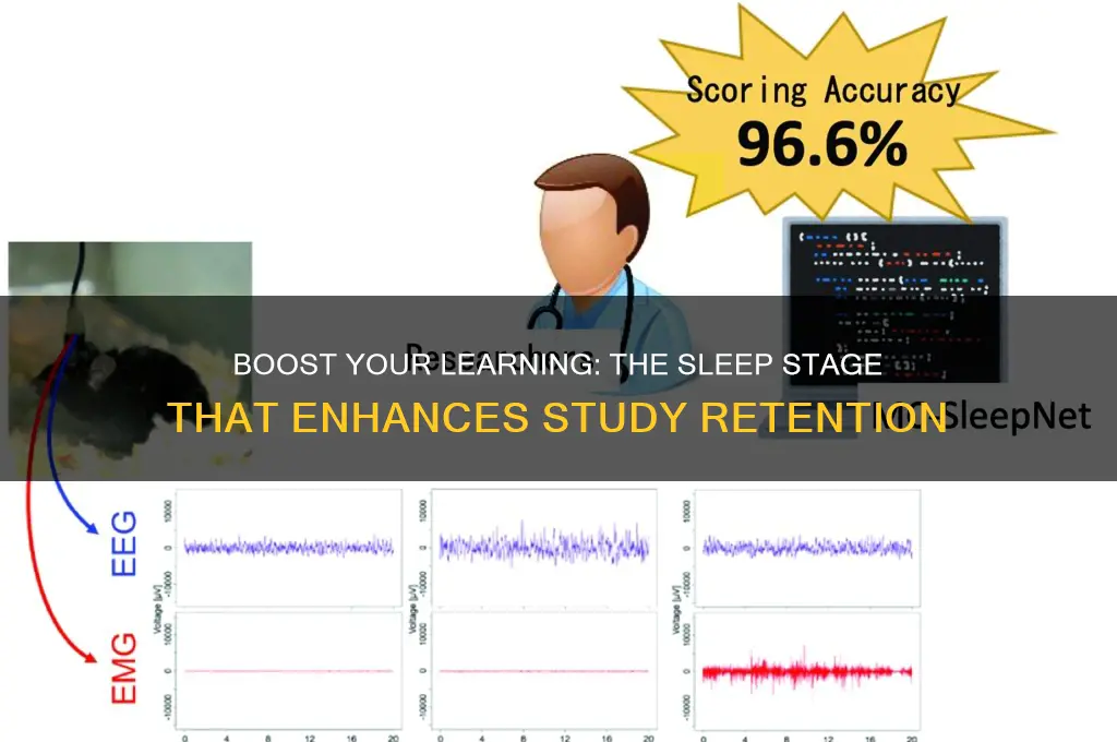 what sleep stage helps study