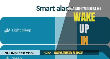 The Ideal Sleep Stage: Waking Up Refreshed and Restored