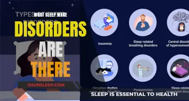 Exploring the Complex World of Sleep-Wake Disorders: A Comprehensive Guide