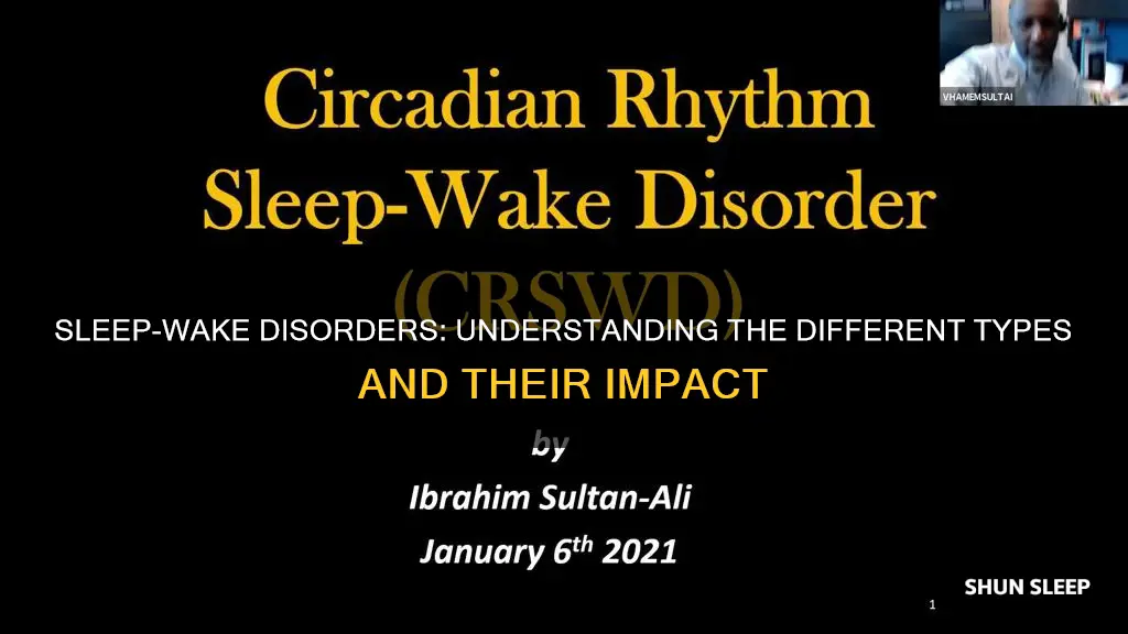 what sleep wake disorders are there