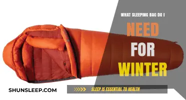 Winter Camping: Choosing the Right Sleeping Bag
