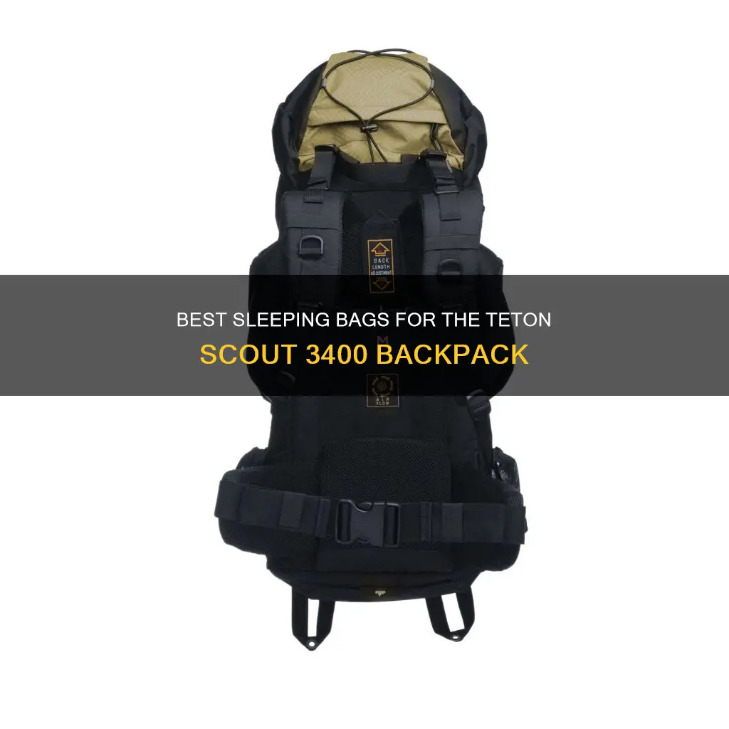 what sleeping bag fits in the teton scout 3400 backpack