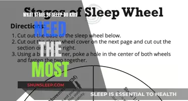 Deep Sleep: The Most Important Stage for Kids' Development