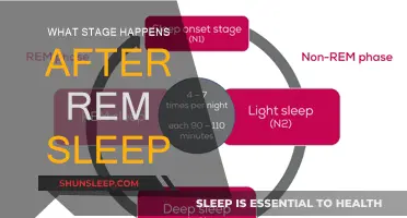 The Sleep Cycle: What Happens After REM Sleep?
