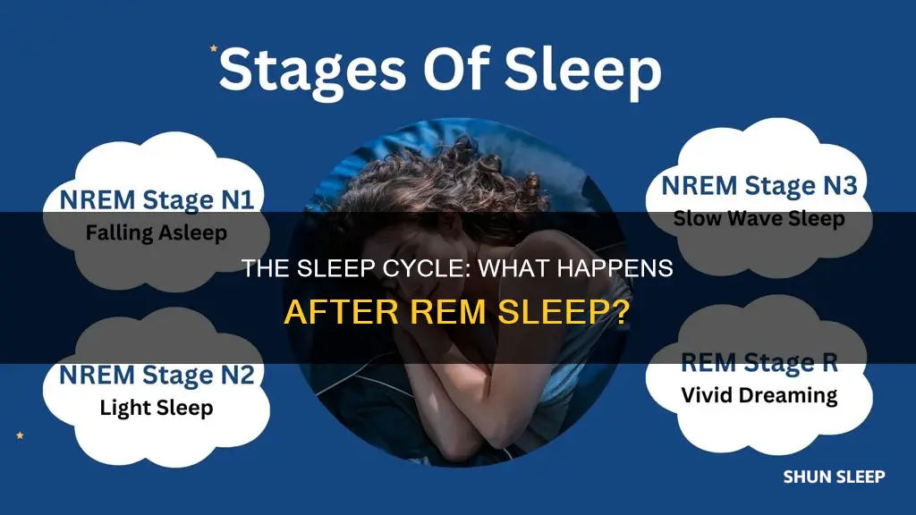 what stage happens after rem sleep