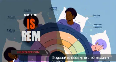 REM Sleep: The Intriguing Stage of Dreaming