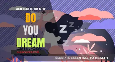 Dreaming: The REM Sleep Stage Explained