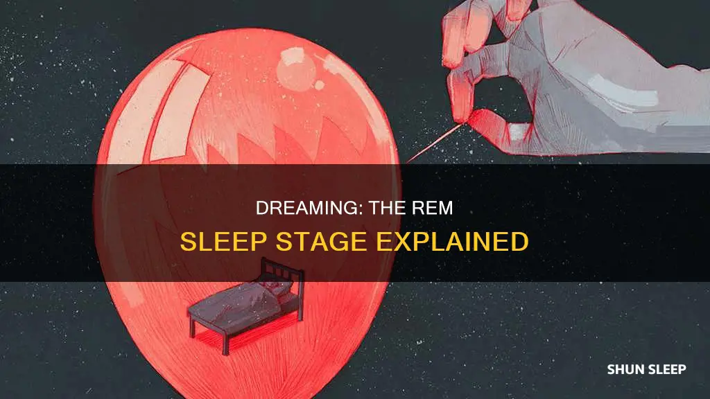 what stage of rem sleep do you dream