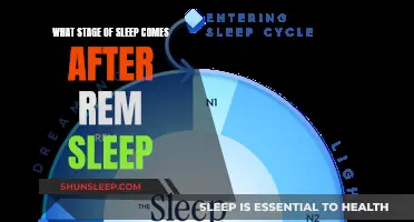 Understanding Sleep Stages: REM and Beyond