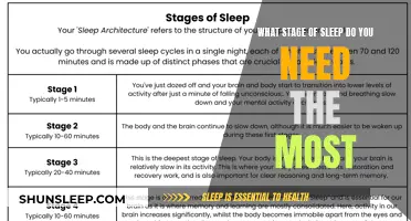 The Science of Sleep: Stages of Restful Slumber