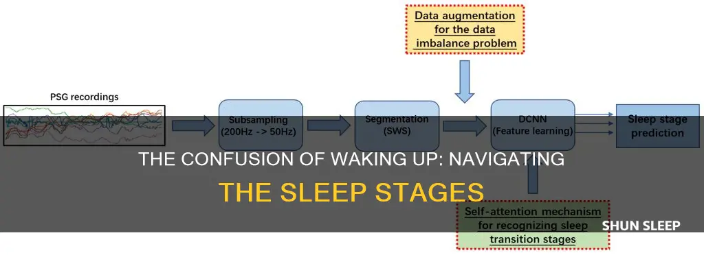 what stage of sleep do you wake up confused