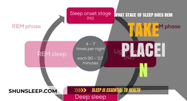 REM Sleep: When Does It Occur?