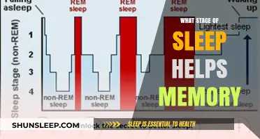 Unlocking Memory: The Crucial Sleep Stage for Cognitive Retention