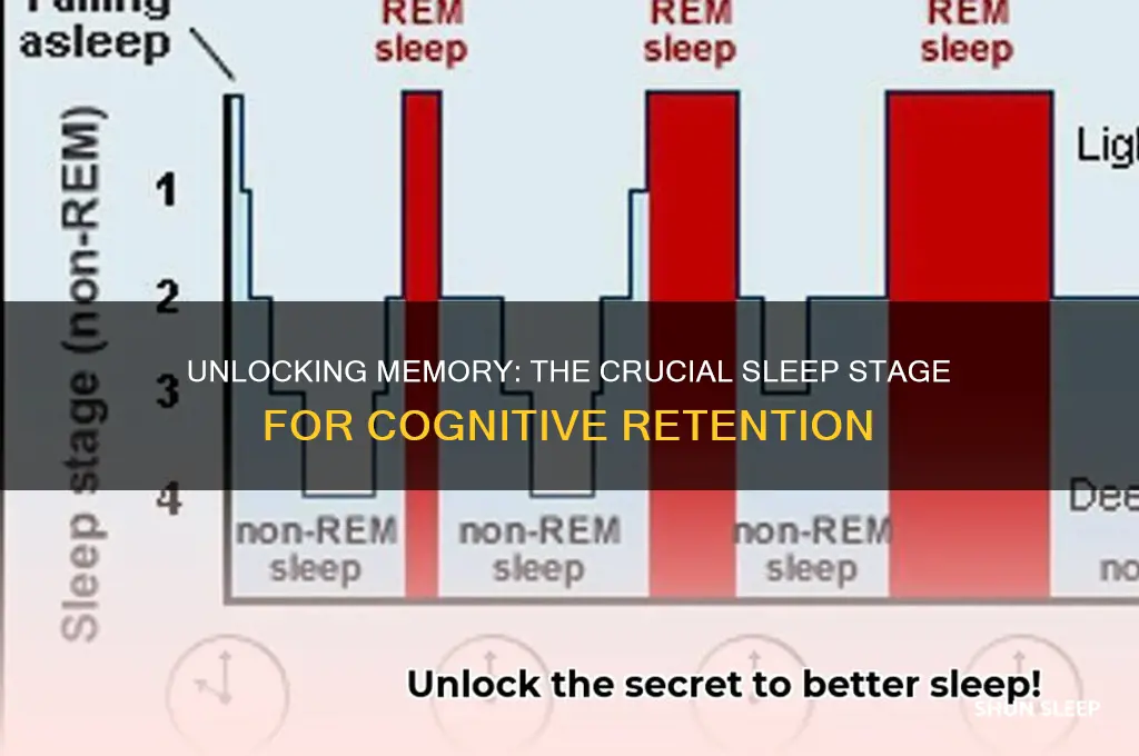 what stage of sleep helps memory