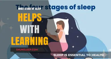 Unlocking Memory: The Sleep Stage That Boosts Learning and Retention