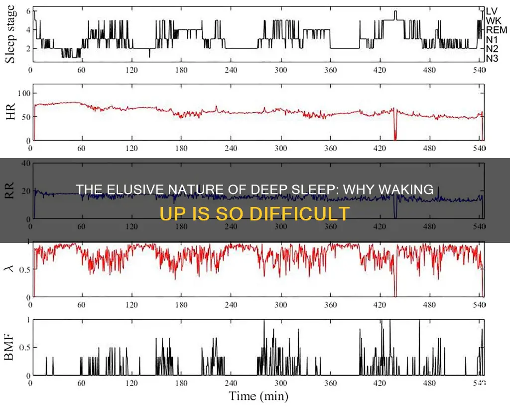 what stage of sleep is hard to wake up