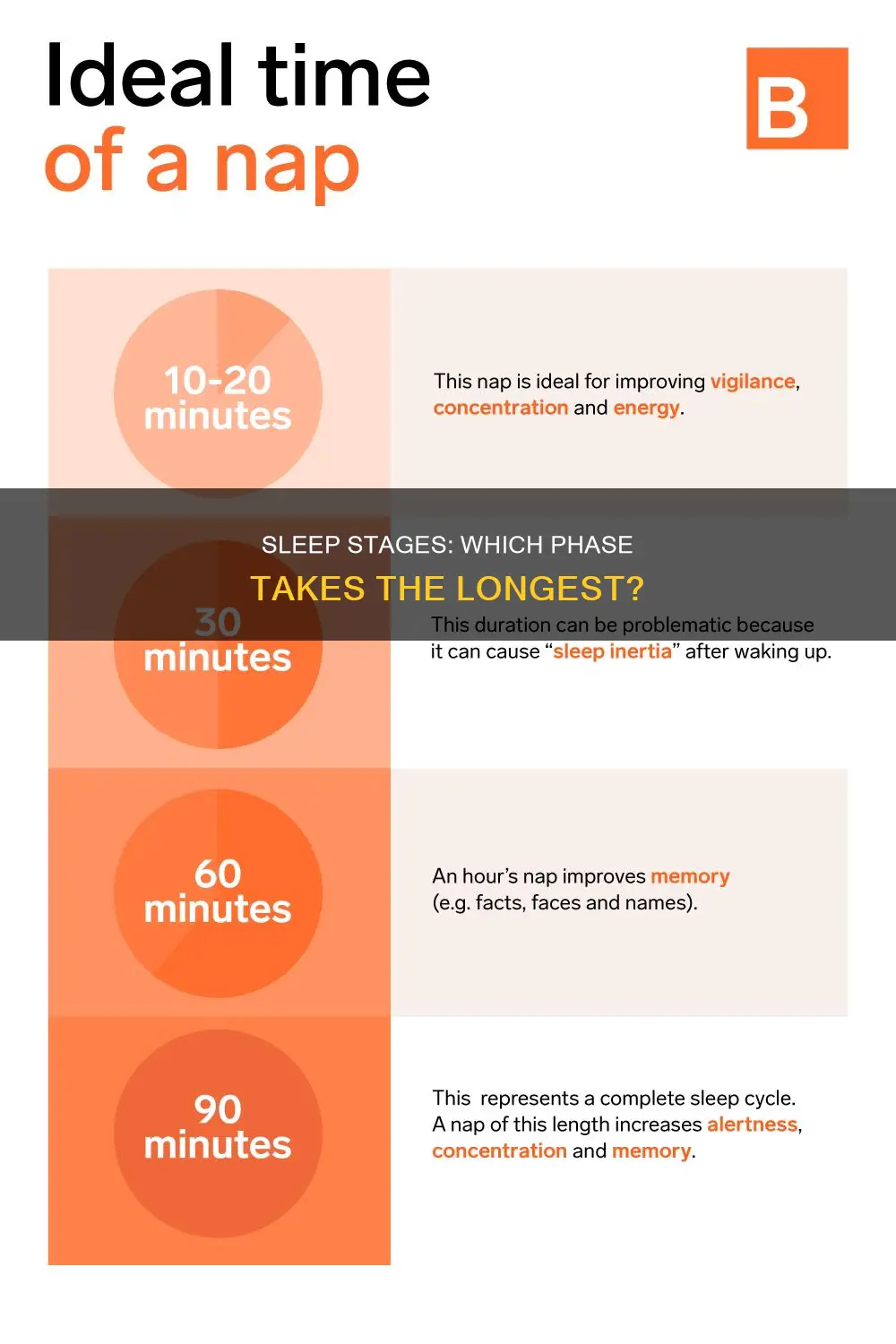 what stage of sleep takes the most time