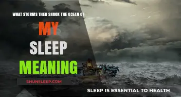 The Storms That Shook My Slumbering Ocean