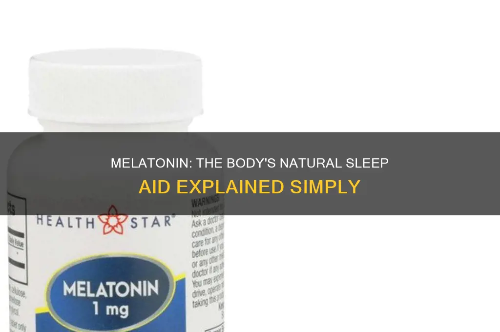 what substance in the body helps one sleep