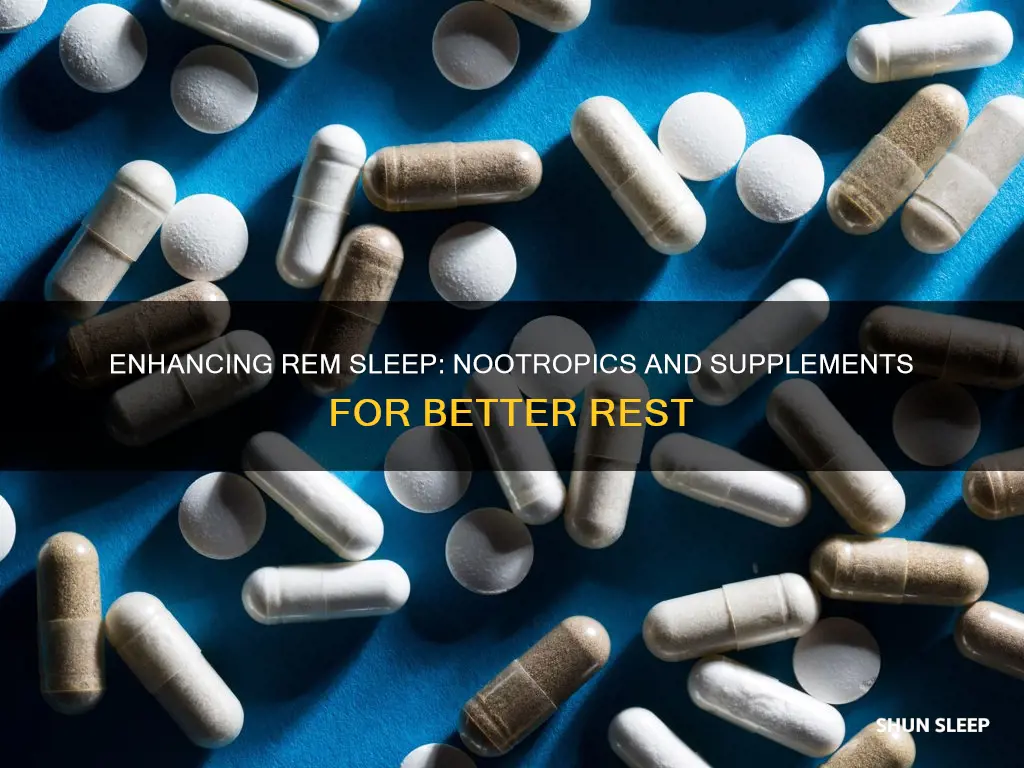 what supplements nootropics increase rem sleep