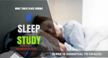 Sleep Study: What to Expect During the Night